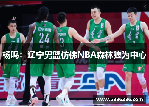 杨鸣：辽宁男篮仿佛NBA森林狼为中心
